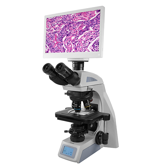 BLM2-274 biological microscope