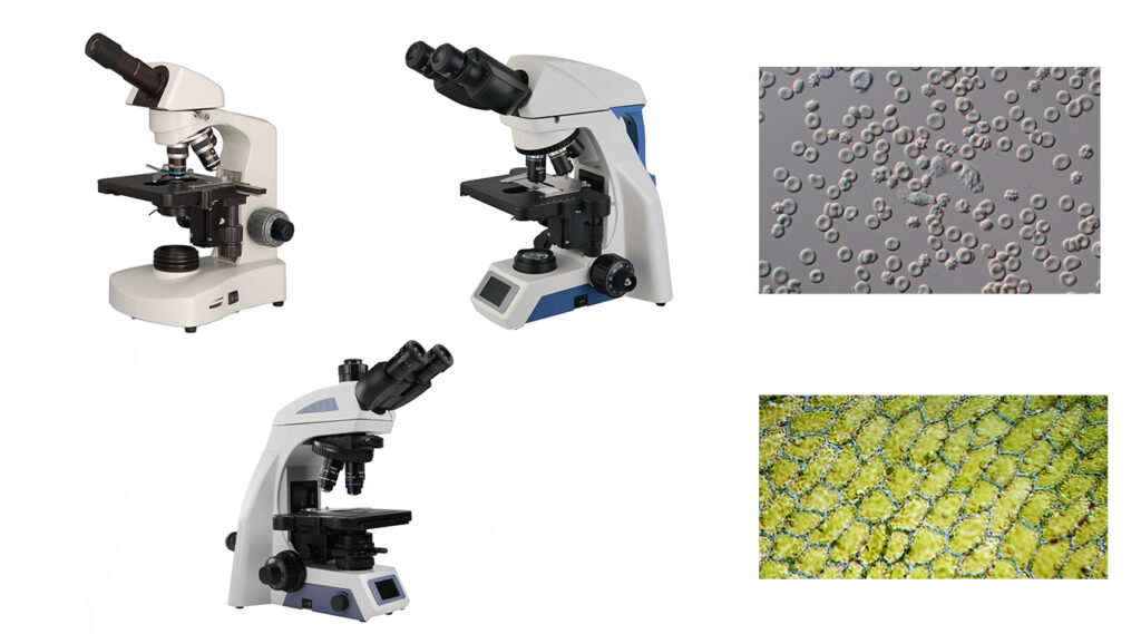 Biological Microscope