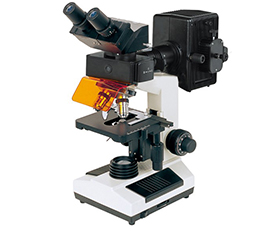 BS-2030FB Fluorescent Binocular Biological Microscope