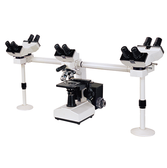 BS-2030MH10 Multi-Head Microscope