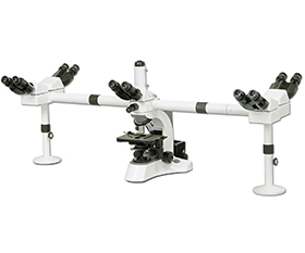 BS-2080MH10 Multi-Head Microscope