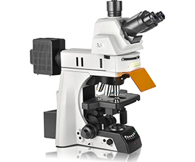 BS-2083F Research Biological Fluorescent Microscope