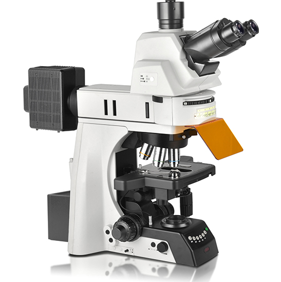 BS-2083F Research Biological Fluorescent Microscope