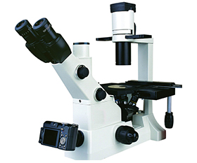 BS-2092 Inverted Biological Microscope