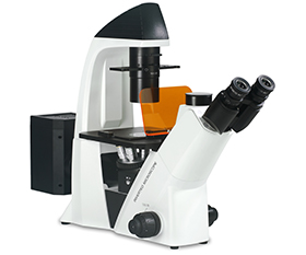 BS-2093AF Inverted Biological Fluorescent Microscope