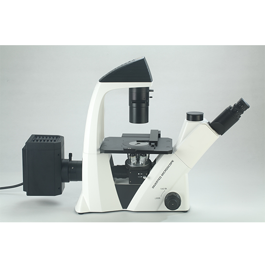 BS-2093AF Inverted Biological Fluorescent Microscope