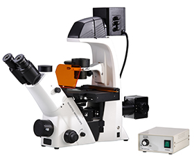 BS-2093BF(LED) Inverted Biological Fluorescent Microscope