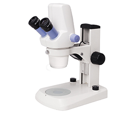 BS-3020BD Binocular Digital Zoom Stereo Microscope