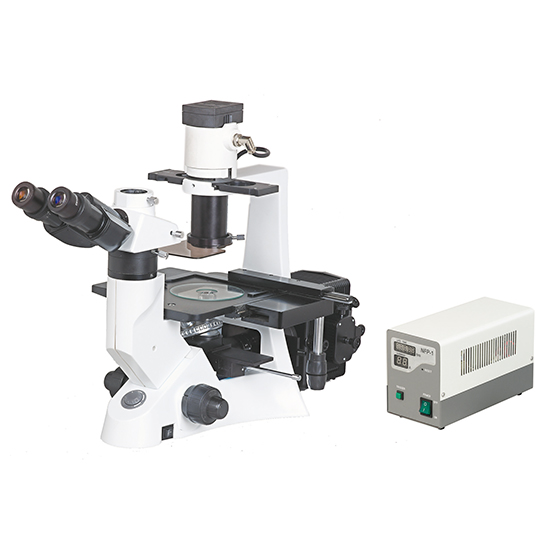 BS-7000B Inverted Fluorescent Biological Microscope