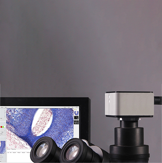 BUC5H-600C USB3.0 Digital Microscope Camera (IMX178LQJ-C Sensor, 6.0MP)