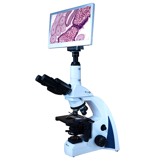 BLM1-240 LCD Digital Biological Microscope