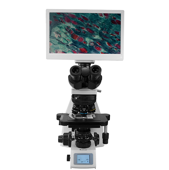 BLM2-274 LCD Digital Biological Microscope