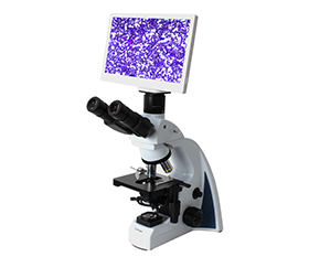 BLM2-241 LCD Digital Biological Microscope