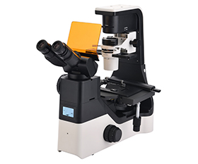 BS-2094CF LED Fluorescent Inverted Biological Microscope