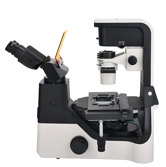 BS-2094CF LED Fluorescent Inverted Biological Microscope