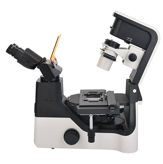 BS-2094CF LED Fluorescent Inverted Biological Microscope