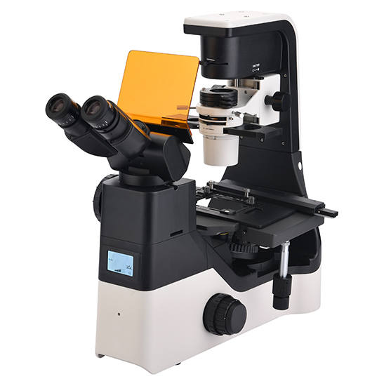 BS-2094CF LED Fluorescent Inverted Biological Microscope