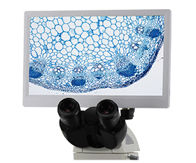 BLC-250A 5.0MP LCD Digital Microscope Camera