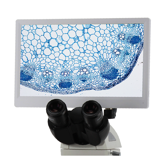 BLC-250A 5.0MP LCD Digital Microscope Camera