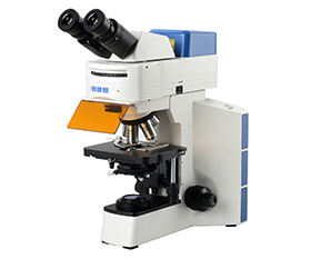 BS-2064FB(LED) LED Fluorescent Binocular Biological Microscope