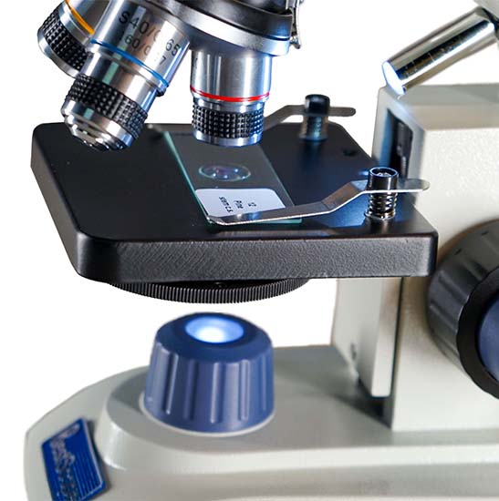 BLM-205 LCD Digital Biological Microscope