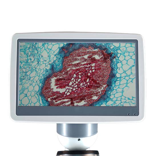 BLM-205 LCD Digital Biological Microscope