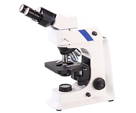 BS-2036F2B(LED,TB) LED Fluorescent Binocular Biological Microscope