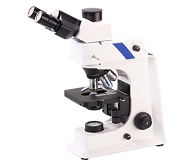 BS-2036F2T(LED,TB) LED Fluorescent Trinocular Biological Microscope