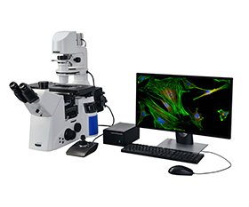 BS-2095FMA Motorized Autofocus Inverted Fluorescent Microscope