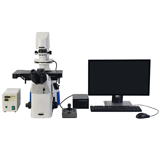 BS-2095FMA Motorized Autofocus Inverted Fluorescent Microscope