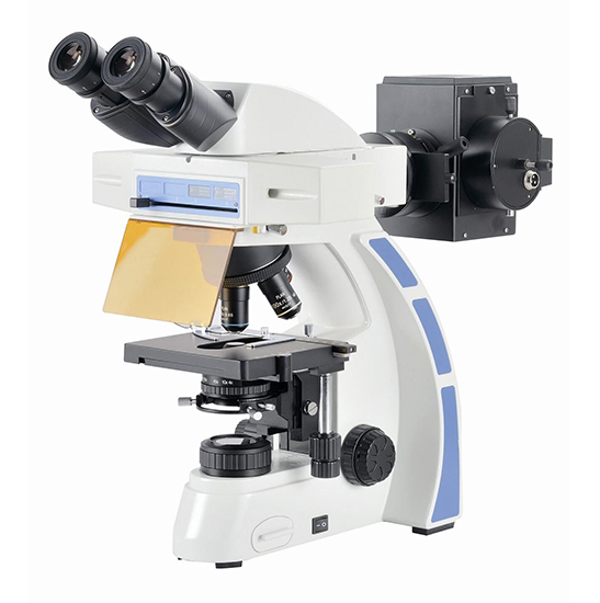 BS-2044FB Fluorescent Binocular Biological Microscope