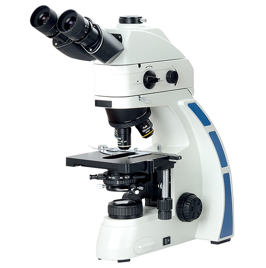 BS-2044FT(LED) LED Fluorescent Trinocular Biological Microscope