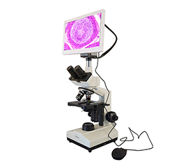 BLM1-230 LCD Digital Biological Microscope