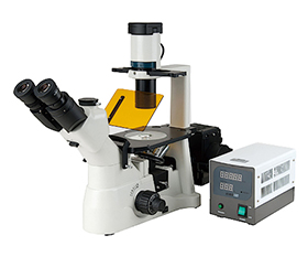 BS-2190AF Fluorescence Inverted Biological Microscope