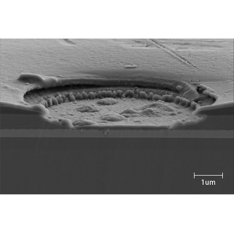 BSEM-500 Field Emission Scanning Electron Microscope