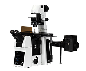 BS-2097 Research Inverted Microscope