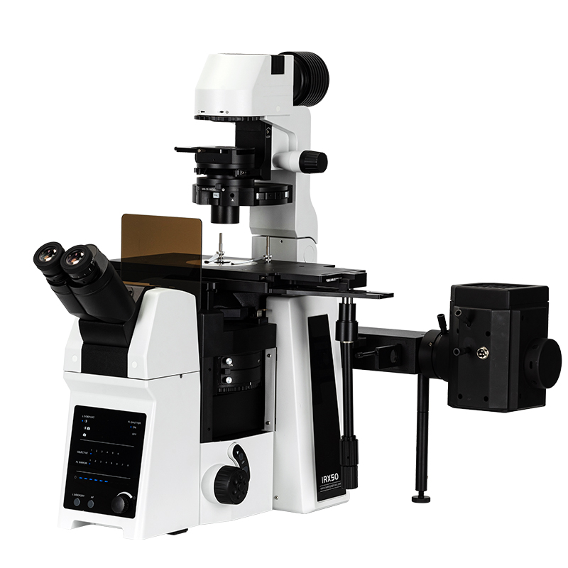 BS-2097 Research Inverted Microscope