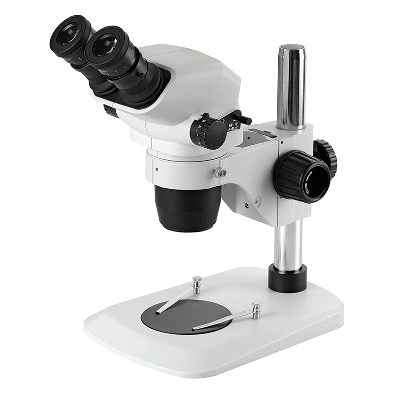 BS-3042B1 Binocular Zoom Stereo Microscope