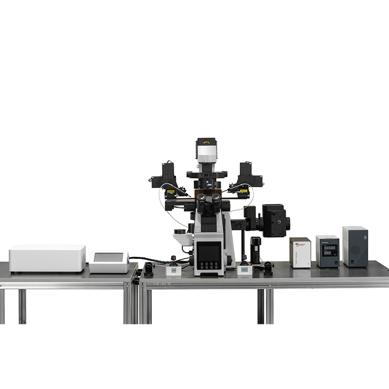 BS-2097MM Research Inverted Microscope  with Micromanipulator Configuration