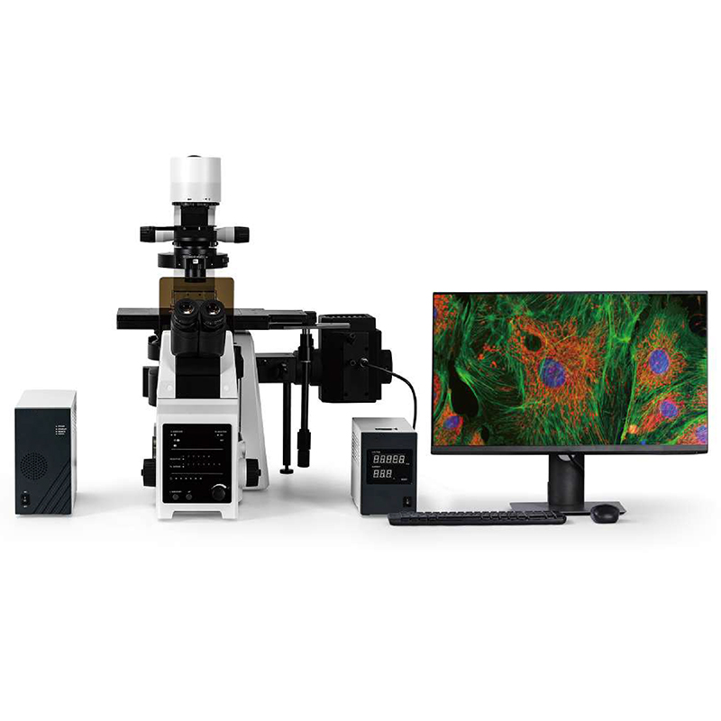 BS-2097 Research Inverted Microscope