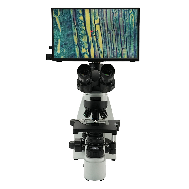 BS-2045T Trinocular Biological Microscope