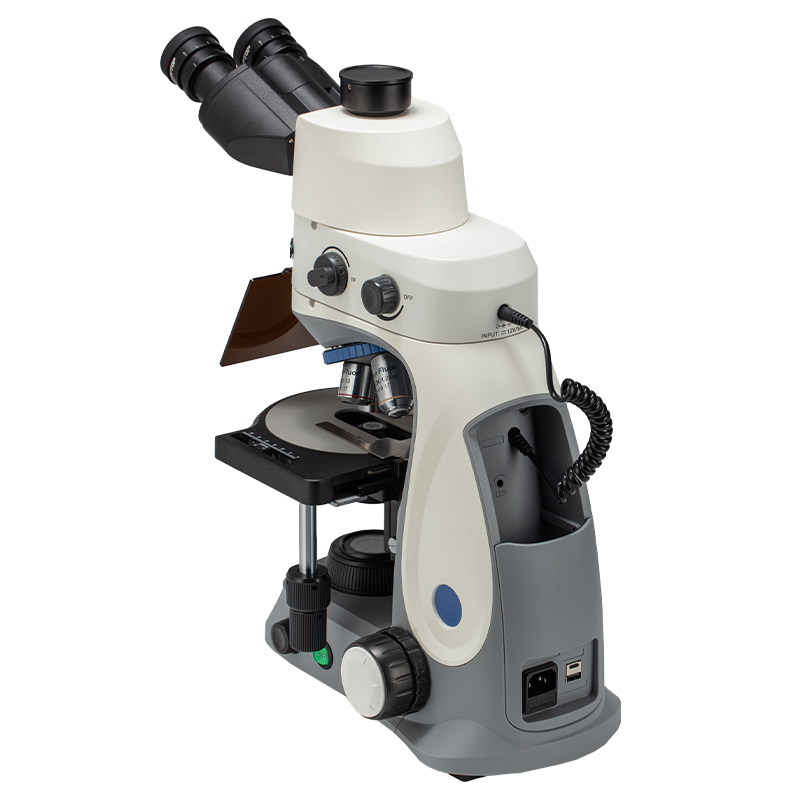 BS-2048FT(LED, TB) Fluorescent Trinocular Biological Microscope