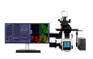 Structured Illumination Microscopy